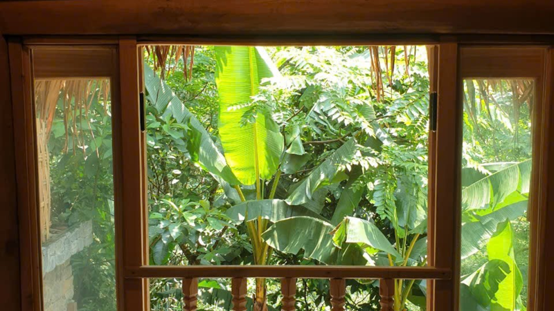 Tiên Tư Homestay (4)
